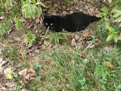 -上海市保健医疗中心