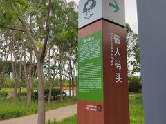 -东郊湿地公园