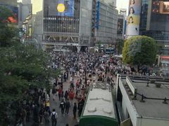 -涩谷区