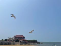 -八仙过海景区