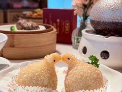 -点都德·毕德寮