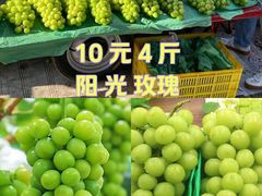 -巴城镇马料江村葡萄园