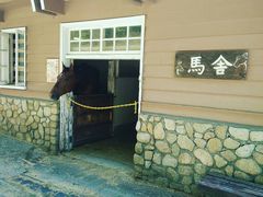 -神户市立六甲山牧场