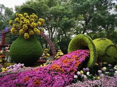 -杭州植物园