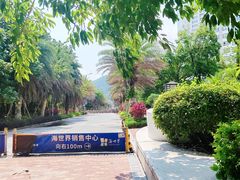 -巽寮印象美食部落餐厅·海鲜·地方特色菜(惠州体验店)