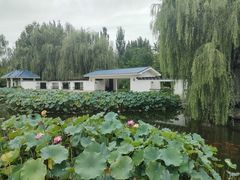 -廊坊市自然公园