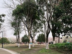 -苏州上方山国家森林公园