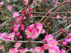 -白塘生态植物园