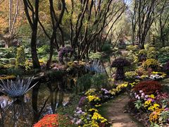 -上海共青森林公园