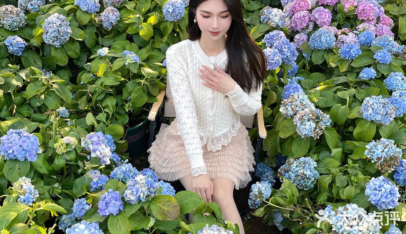 绣球花真的好温柔💐海如的花园