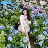 绣球花真的好温柔💐海如的花园