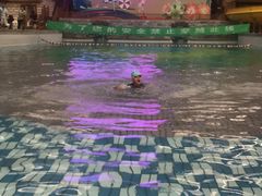 -南宫温泉水世界