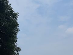 -裕新楼粉面馆·石磨手工粉(四方坪店)