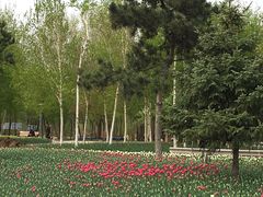 -长春公园(普阳街道)