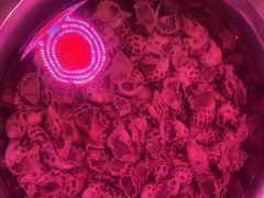 -大洋家·精品潮汕菜·生腌砂锅粥(天河东路店)