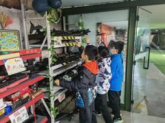 -319集结地真人CS·团建·轰趴体验馆·室内(上地店)