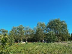 -天津东丽湖风景区