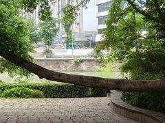 -成都市活水公园