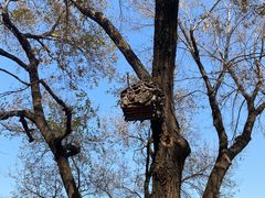 -北京西山国家森林公园