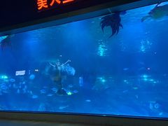 -福州罗源湾海洋世界旅游区