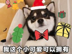 -艾加柒克蛋糕茶歇甜品台(春熙路店)