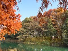 -贡湖湾湿地公园
