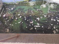 -溪悦渔庄(九龙湖店)