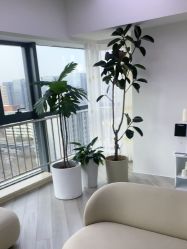 -HEYAN荷妍专业脱毛连锁机构
