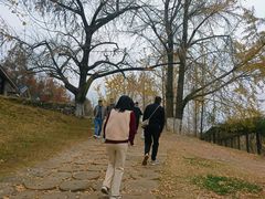 -千年银杏谷文化旅游区