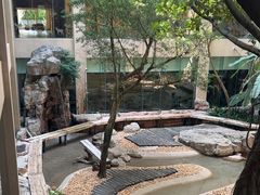-麒麟中餐厅·经典粤菜·地道菜式老字号(广州长隆酒店)
