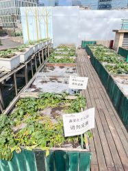 -梦田都市农场(银泰城店)