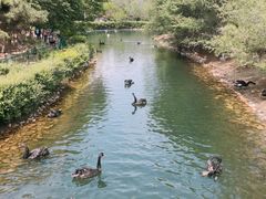 -长白岛森林公园