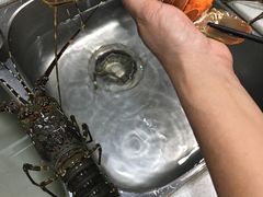 小青龙-盒马鲜生(曜一城店)