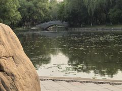 -北陵公园