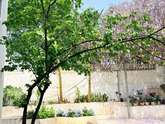 -柠檬花院烤肉·会议团建·聚会·求婚(三圣乡店)