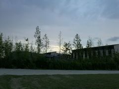 -上海崇明金茂凯悦酒店