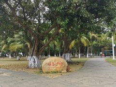 -万绿园