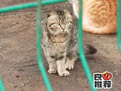 -晓港公园