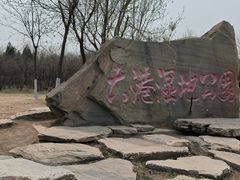 -大港湿地公园