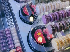 -野人先生现做冰淇淋(北京顺义祥云小镇店)