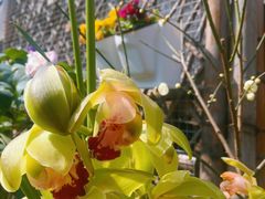 -兴福老面馆(寺路街店)