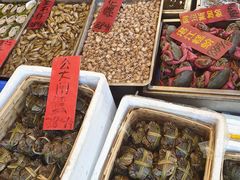 -湛江渔港·大排档(乐园路总店)