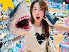 -海合安武汉极地海洋公园