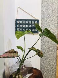-兴亚瑜伽20年老馆