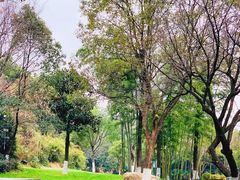 -天目湖御水温泉·度假酒店