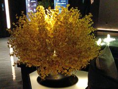 -泰之源足浴会所(玉环店)