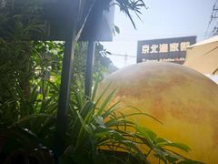 -京北渔家傲