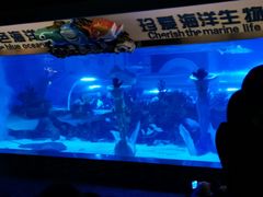 -成都浩海立方海洋公园