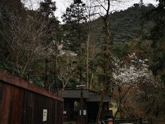 -宁海森林温泉