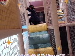 -保利MALL(天鹅湖店)